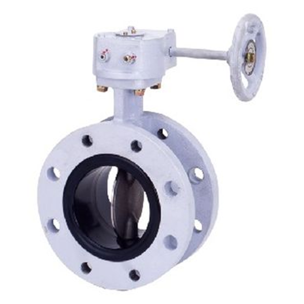 KITZ開(kāi)滋球墨鑄鐵蝶閥VG-10NFJUE-125A