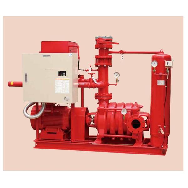 TERAL中～大流量/中揚程冷卻泵LPS653/2A-55.5HT-e