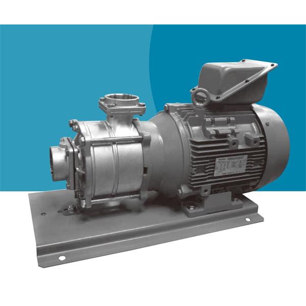 TERAL中～大流量/中揚程冷卻泵LPS653/2A-55.5HT-e