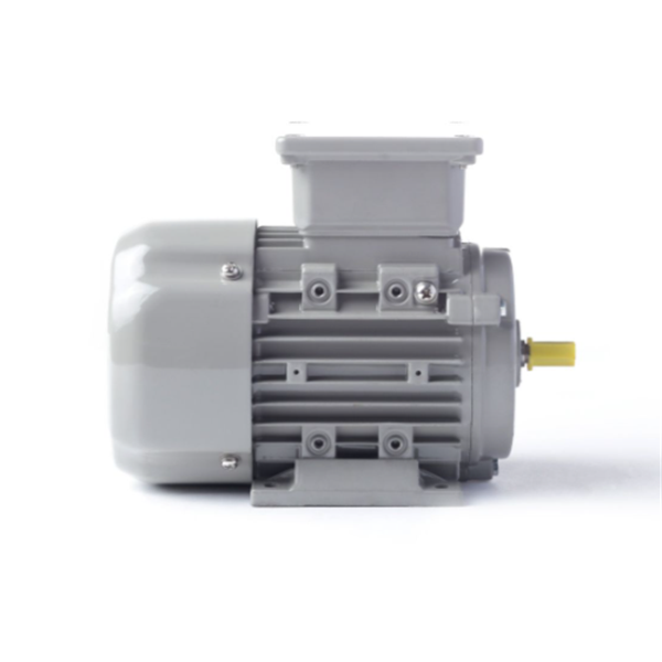 德國AC MOTOREN防火防爆電機E3-ASA 132 SA 2