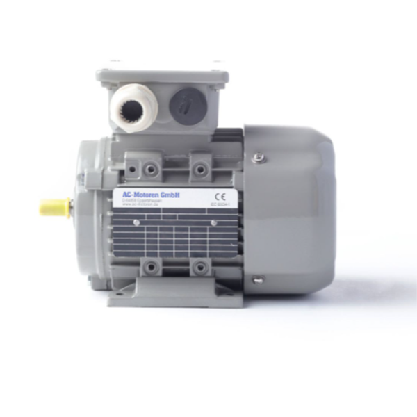 德國AC MOTOREN防火防爆電機E3-ASA 132 SA 2